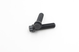 12-Point Flange Screw - Ferry socket cap screw